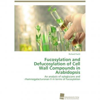 Fucosylation and Defucosylation of Cell Wall Compounds in Arabidopsis