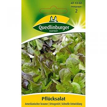 Q-Agro Salat der Saison