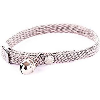 Collier Nylon Élastique pour Chat
