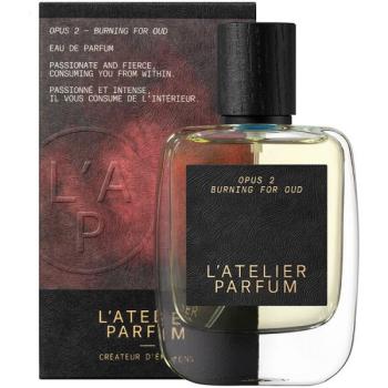 Armonia di Incenso – 50 ml Eau De Parfum Uomo