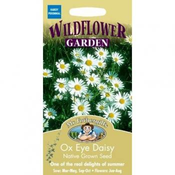 Sunshine Fields Ox Eye Daisy