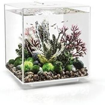 OASE biOrb CUBE 60 LED Aquarium, 60 Liter