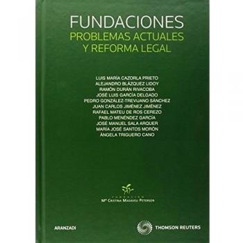 Fundaciones: Problemas actuales y reforma legal (Monografía)