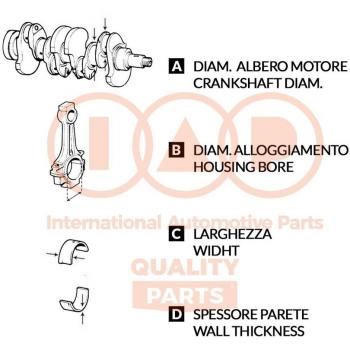 IAP 105‑20060 Kit di Cuscinetti per Albo a Gomiti
