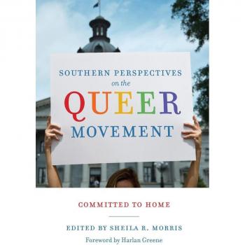 Southern Perspectives on the Queer Movement