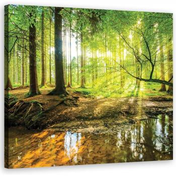 Toile d'art Vue forêt lacustre – 30x30 cm, vert profond
