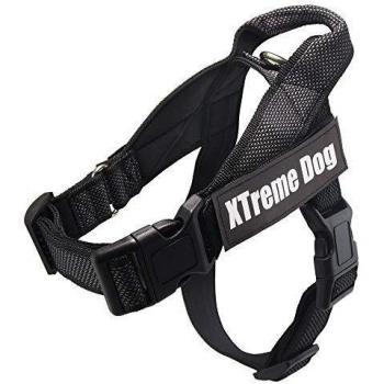 Arquivet Arnés Xtreme Classic Dog Negro XL