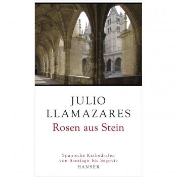 Rosen aus Stein: Spanische Kathedralen von Santiago bis Segovia