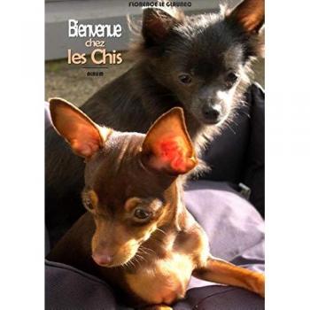 Bienvenue chez les chis: Jana et Joy
