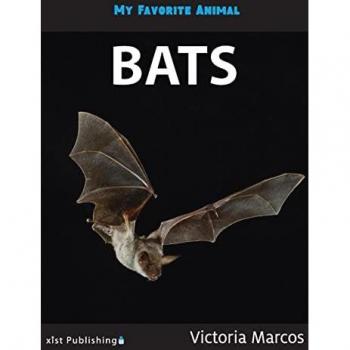 My Favorite Animal: Bats
