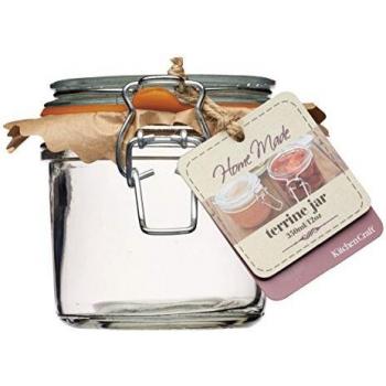 TerraGuard 350 ml Kitchen Jar with Clip Seal