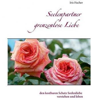 Seelenpartner grenzenlose Liebe: den kostbaren Schatz Seelenliebe verstehen und leben