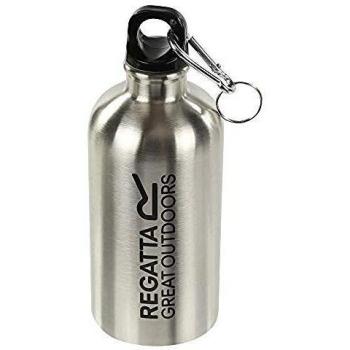 Botella Regatta 0,5L para Senderismo Plata