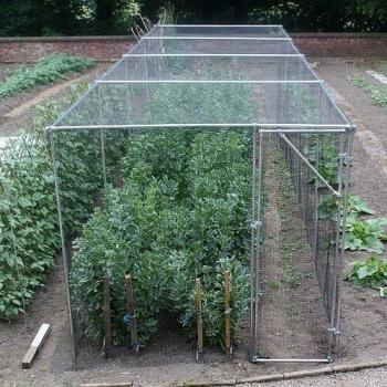 Two Wests & Elliott Heavy Duty Fruit Cage 24' Wide 48' Long Butterfly Net
