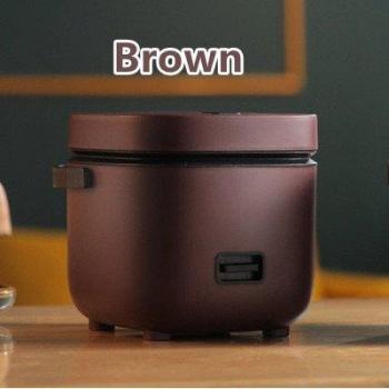 Compact Rice Cooker