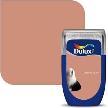Dulux Emulsion Paint