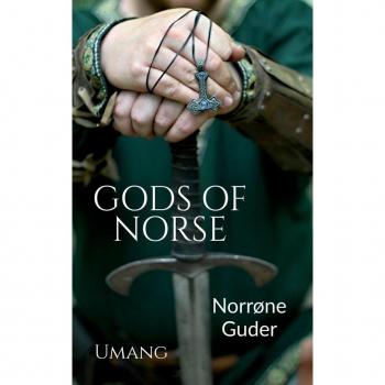 Gods of Norse (Norrøne Guder)