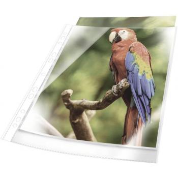 Busta Archivio Durable A4 Trasparente 10 pcs