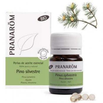 A Esencial Pino Silvestre Agujas Bio 60 Minicaps