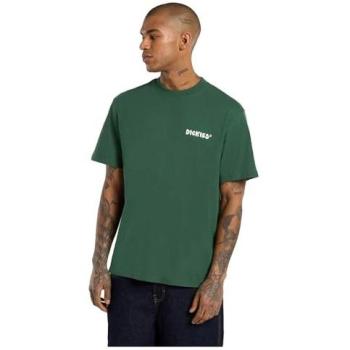Dickies T‑shirt di media taglia Gordonsville uomo verde L