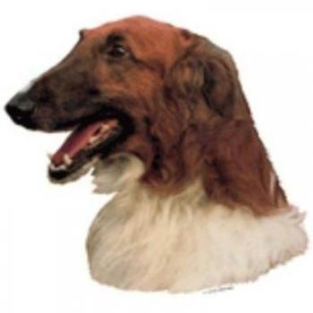Heimtierbedarf Borzoi-Label von Schwandt – World Stickers 12091, 4 Stück, 80 mm