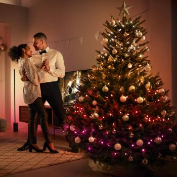 Signify Philips Hue Festavia Lichterkette 20m 250 LEDs