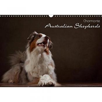 Charmante Australian Shepherds
