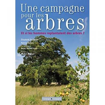 Arbres en campagne