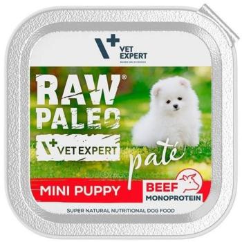 Bœuf cru Paleo mini pâté pour petits chiens 150 g