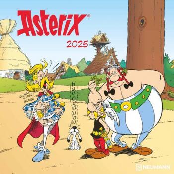 Asterix 2025 Monthly Calendar