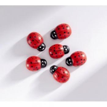 Coccinelle in legno 6 pezzi grandi 2,5x1,6cm