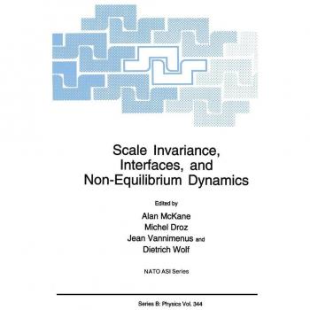 Scale Invariance Interfaces and Non-Equilibrium Dynamics