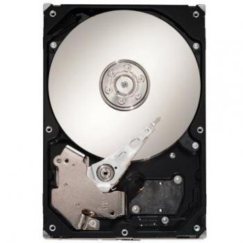 Seagate Cheetah 15K.6 300 GB SAS Performance Disk