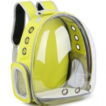 Sacs de transport léger et translucide pour chats et chiots