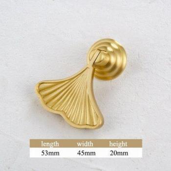Elegant Brass Golden Cabinet Accessories