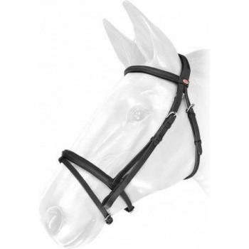 Montura de Caballo Whitaker: Pronto a Montar