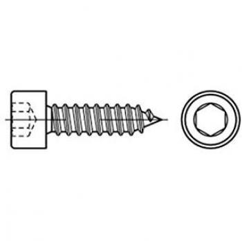 Reyher Blechschraube Zylinder R 88312 200 Stück m.Spitze/Innen-6kt C 6,3 x 38 A2