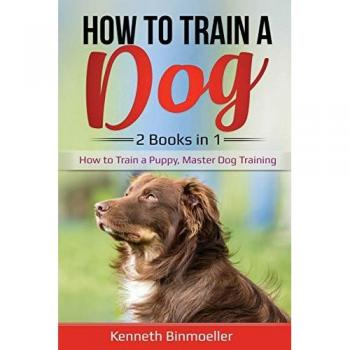 How to Train a Dog