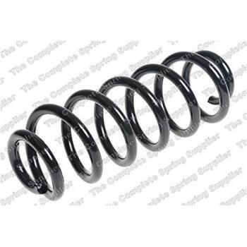 Kilen Rear Axle Coil Spring 65101