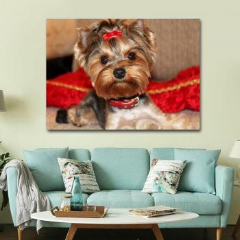 Yorkshire Terrier Strass-Diamantenbild – 20 × 30 cm