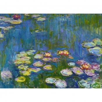 Puzzle de 3000 piezas Bluebird Nenúfares