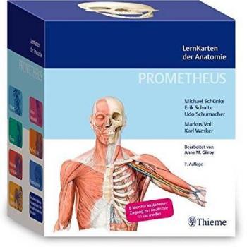 Michael Schünke Prometheus Lernkarten Der Anatomie