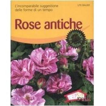 Rose antiche. L'incomparabile suggestione delle forme di un tempo. Ediz. illustrata