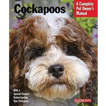 Erin Amon Cockapoos