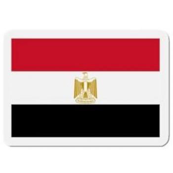 Synthetic Resin Egyptian Flag Magnets