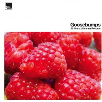 Goosebumps 25 Years Of Marina Records
