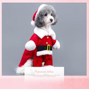 Chihuahua and Pug Santa Claus Costumes