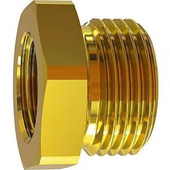 Nipppo di Riduzione F1/2 – Riegler (SW 38)