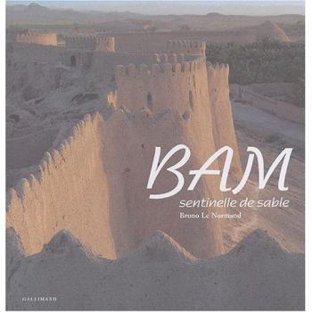 Bam, sentinelle de sable