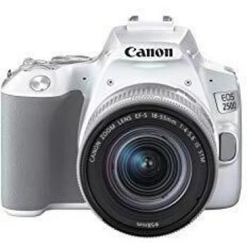 Canon EOS 250D Silver Edition with EF-S 18-55mm Lens